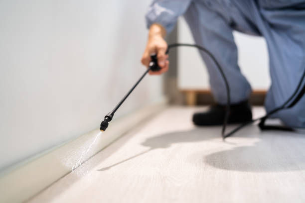 Licensed Ant Control service in Union City, OK - Nex Pest Control