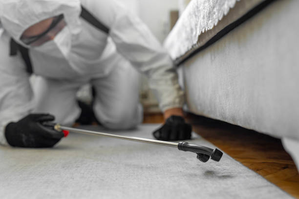 Professional Ant Control technician working in Union City, OK
