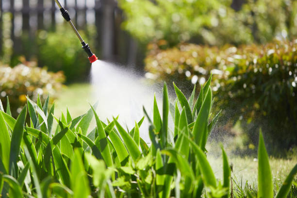 24/7 Emergency Ant Control experts in Union City, OK