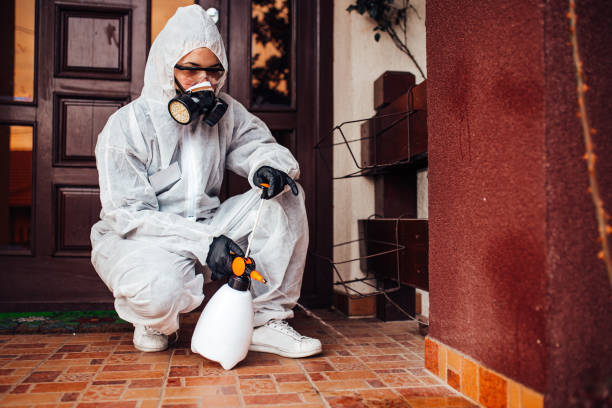 Reliable Ant Control contractor in Union City, OK by Nex Pest Control