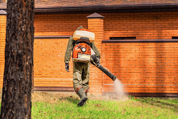Trusted Cockroach Control service in Union City, OK - Nex Pest Control
